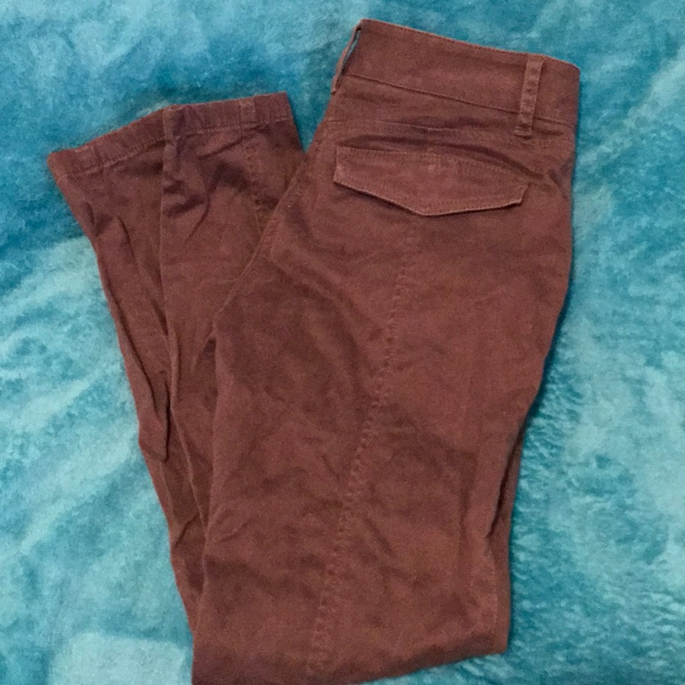 Dress pants
